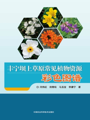 丰宁坝上草原常见植物