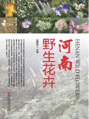 河南野生花卉