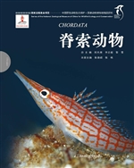脊索动物