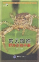 常见蜘蛛野外识别手册