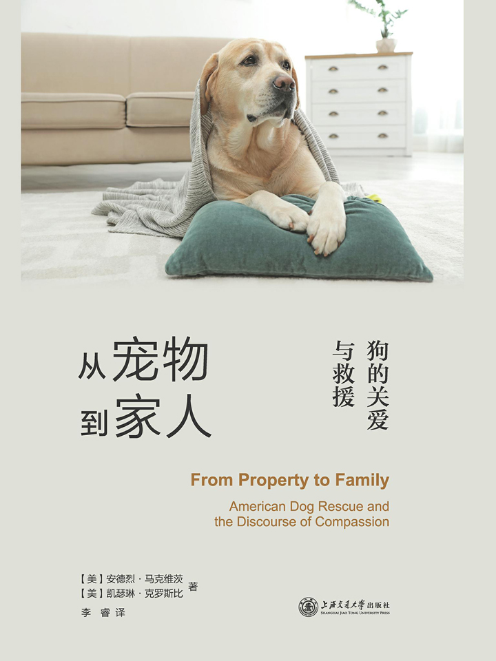 从宠物到家人：狗的关爱