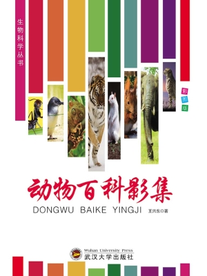 动物百科影集