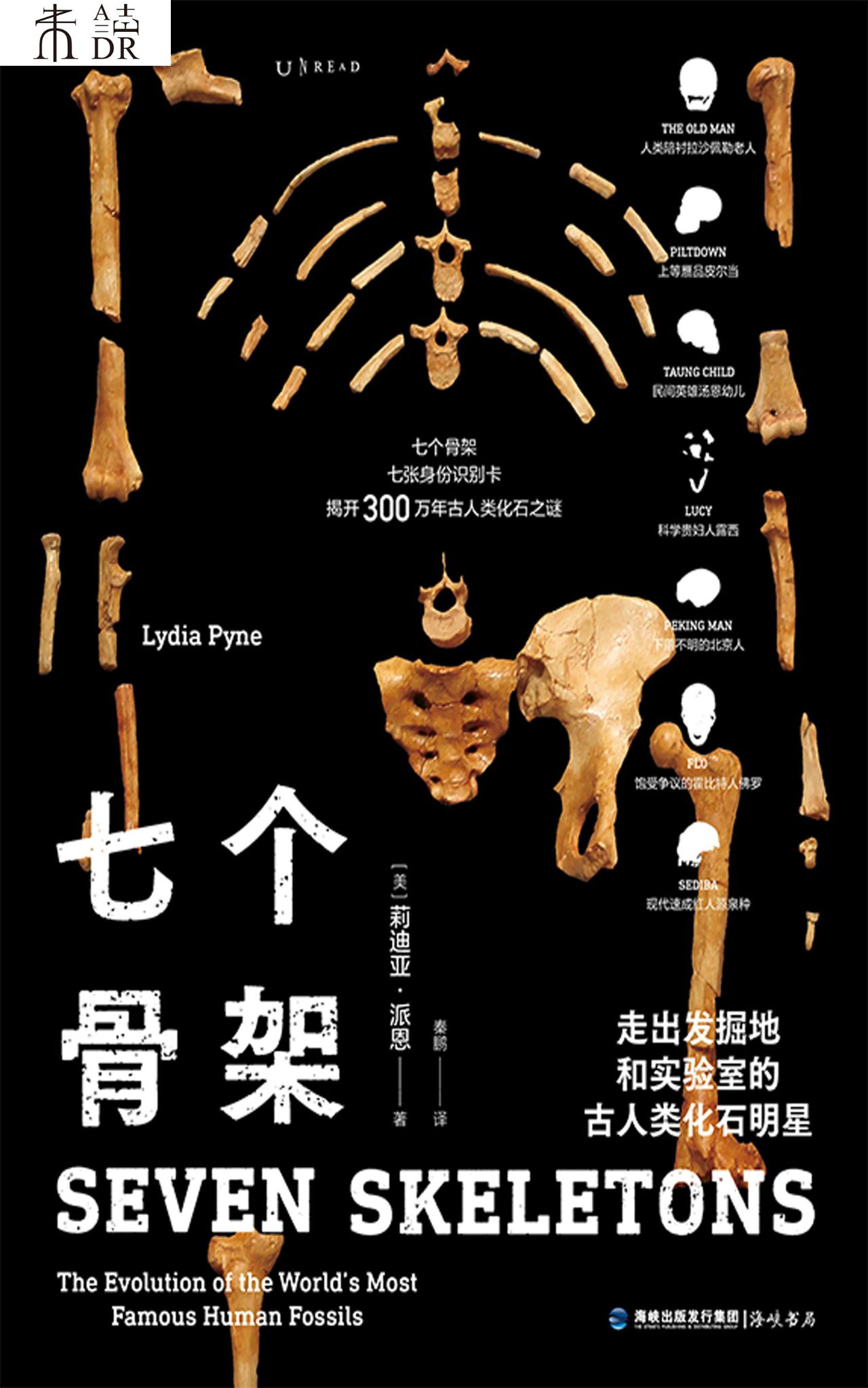 七个骨架：走出发掘地和