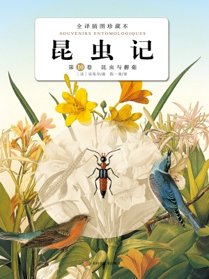 昆虫记（第10卷）