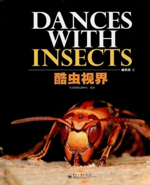 酷虫视界