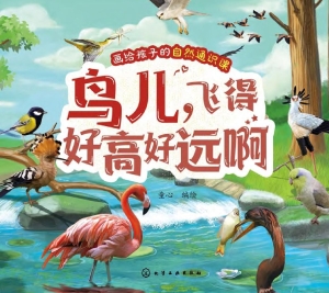 鸟儿，飞得好高好远啊