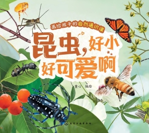 昆虫，好小好可爱啊