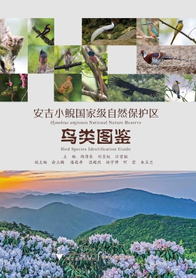 安吉小鲵国家级自然保