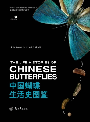 中国蝴蝶生活史图鉴
