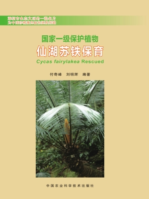 国家一级保护植物——