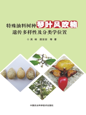 特殊油料树种琴叶风吹