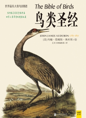鸟类圣经