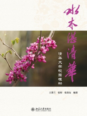 水木湛清华——清华大