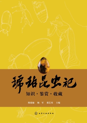 琥珀昆虫记：知识·鉴赏
