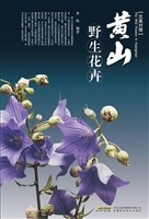 黄山野生花卉