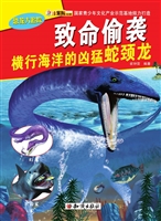 致命偷袭——横行海洋