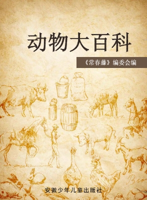 动物大百科