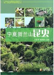 宁夏贺兰山昆虫