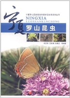 宁夏罗山昆虫