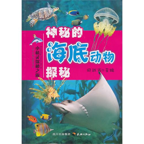 小机灵探秘之旅：神秘的