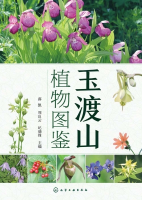 玉渡山植物图鉴