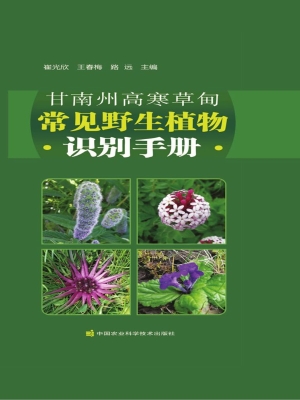 甘南州高寒草甸常见野