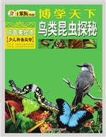 鸟类昆虫探秘