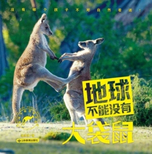地球不能没有大袋鼠