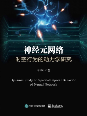 神经元网络时空行为的
