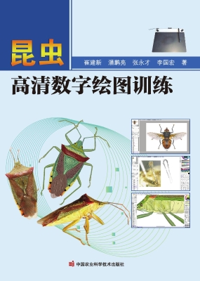 昆虫高清数字绘图训练