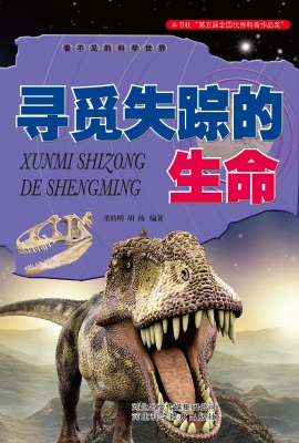 寻觅失踪的生命