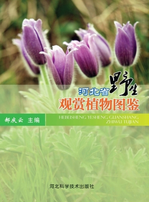 河北省野生观赏植物图