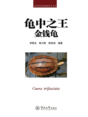龟中之王——金钱龟
