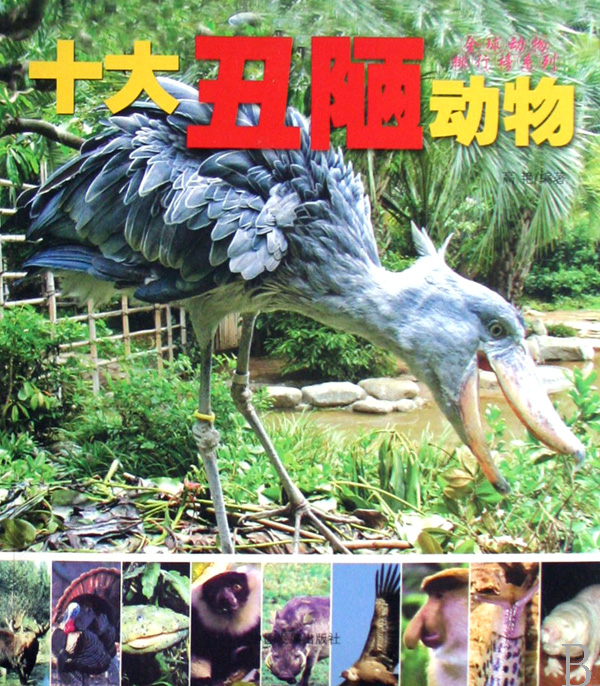 全球动物排行榜——十