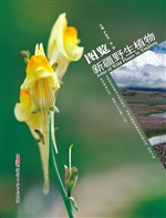 图览新疆野生植物