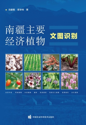 南疆主要经济植物文图