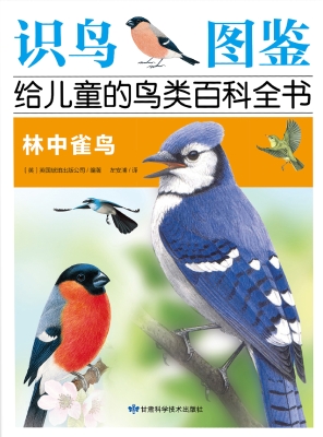 林中雀鸟