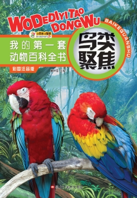 鸟类聚焦