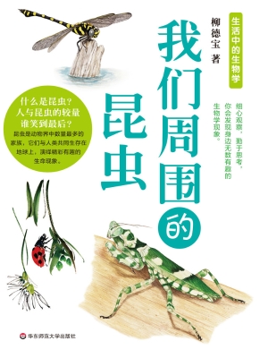 我们周围的昆虫