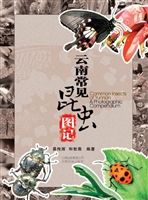 云南常见昆虫图记