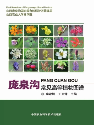 庞泉沟常见高等植物图