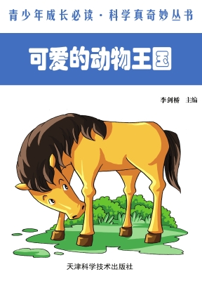 可爱的动物王国