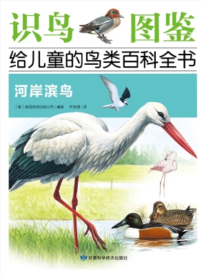 河岸滨鸟