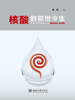 核酸的前世今生
