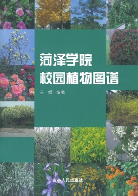菏泽学院校园植物图谱