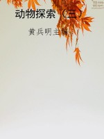动物探索（三）