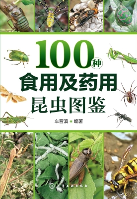 100种食用及药用昆虫