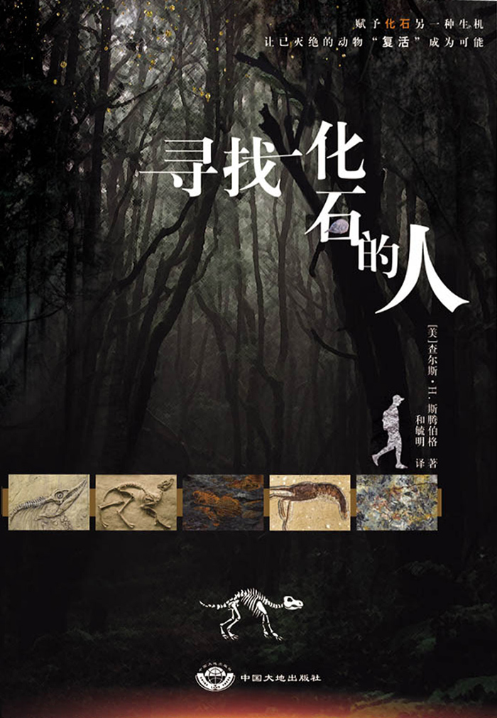 寻找化石的人