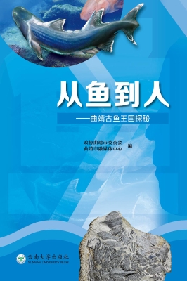 从鱼到人——曲靖古鱼