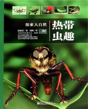 热带虫趣